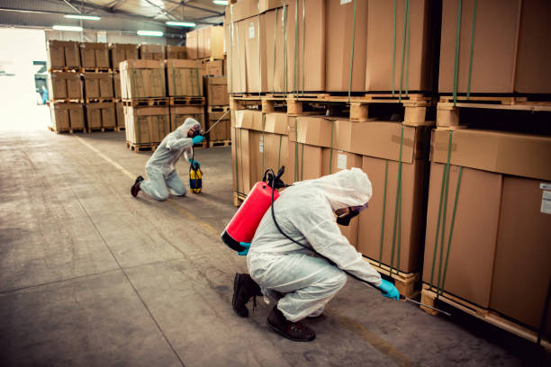 Best Wildlife Control Services  in San Leandro, CA