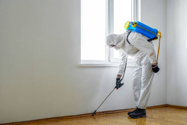 Best Best Pest Control Companies  in San Leandro, CA