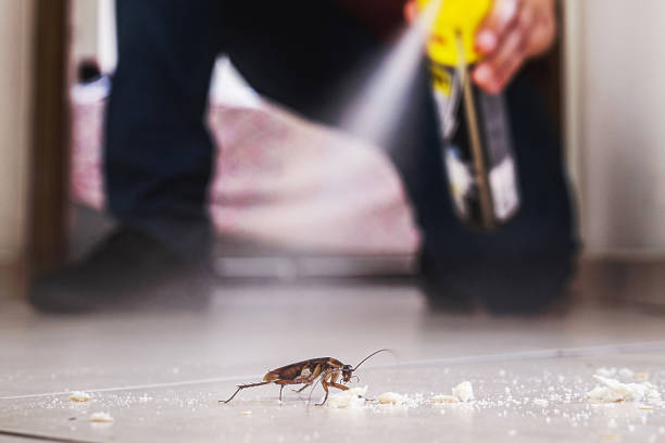 Best Pest Control for Businesses  in San Leandro, CA